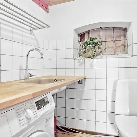 20611-samso-brundby-hovedgade-66 Tatil Evi